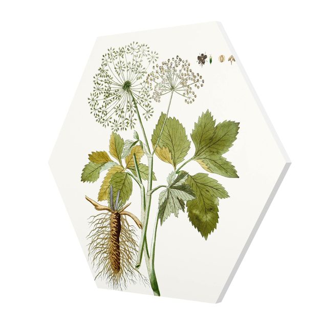 Hexagonala tavlor Wild Herbs Board IV