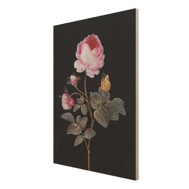 Konststilar Barbara Regina Dietzsch - The Hundred-Petalled Rose