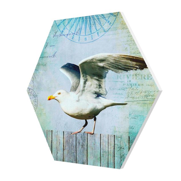 Tavlor Andrea Haase Vintage Collage - Seagull On Wooden Planks