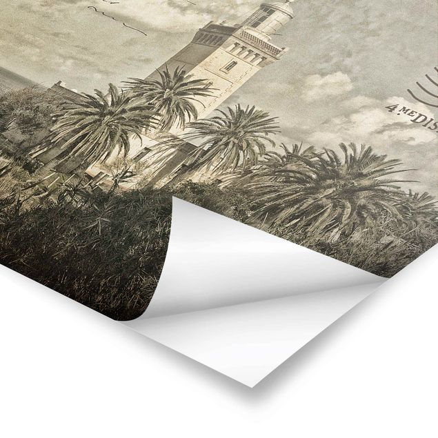 Tavlor Lighthouse And Palm Trees - Vintage Postcard