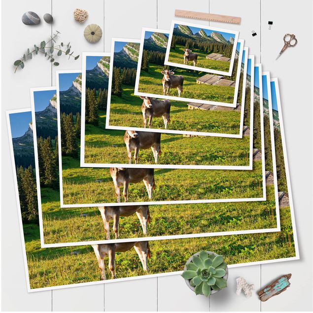 Tavlor natur Swiss Alpine Meadow With Cow