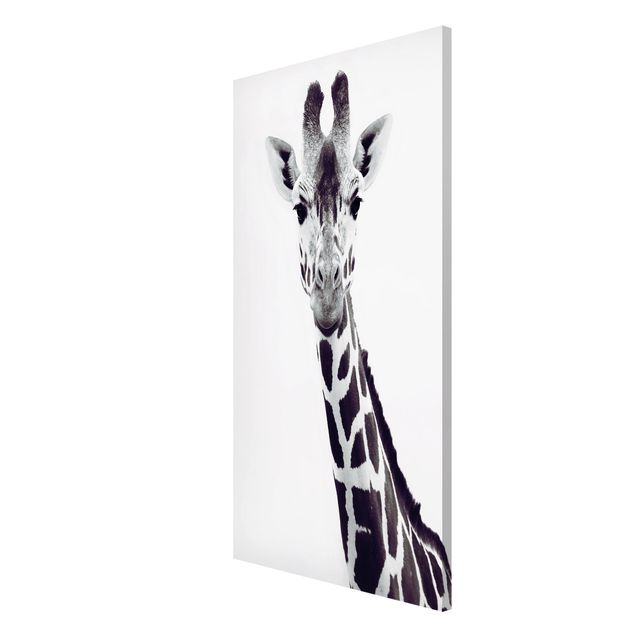 Magnettavla djur Giraffe Portrait In Black And White