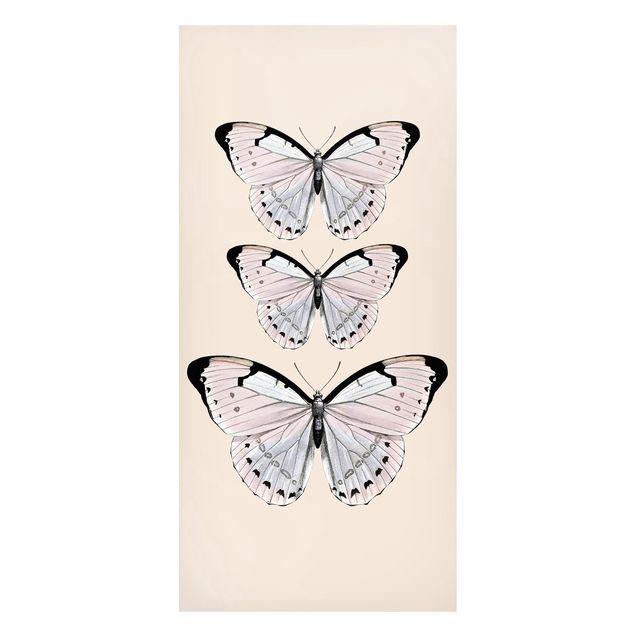 Tavlor fjärilar Butterfly On Beige