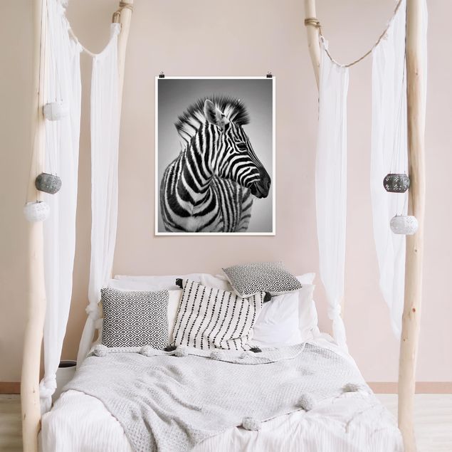 Posters svart och vitt Zebra Baby Portrait II