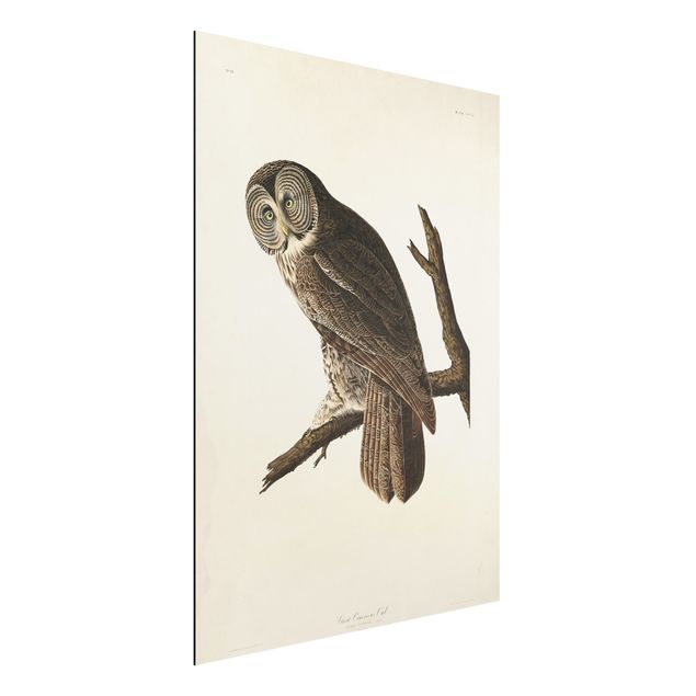 Kök dekoration Vintage Board Great Owl