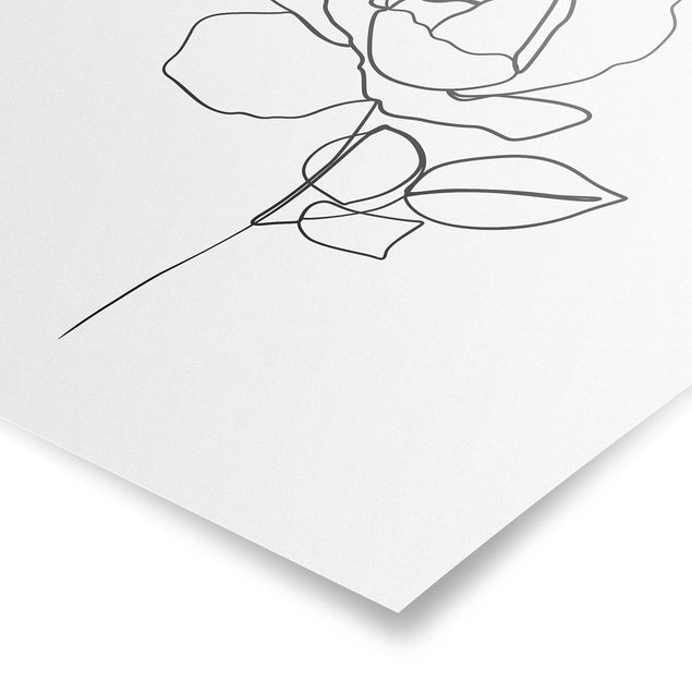 Tavlor blommor Line Art Rose Black White