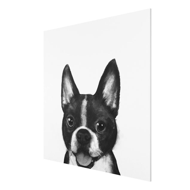 Tavlor konstutskrifter Illustration Dog Boston Black And White Painting