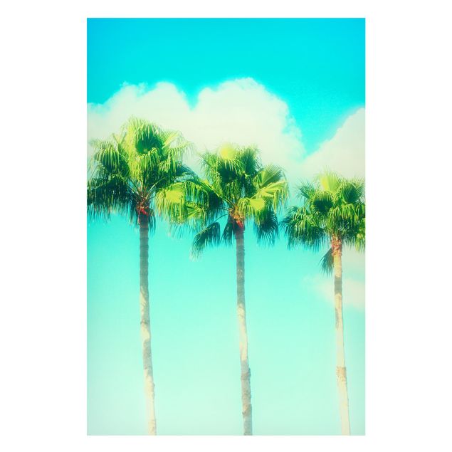 Tavlor landskap Palm Trees Against Blue Sky