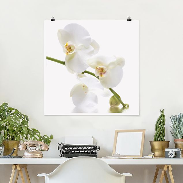 Kök dekoration White Orchid Waters