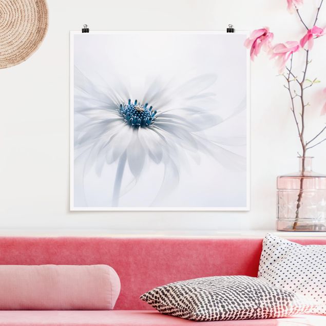 Posters blommor  Daisy In Blue