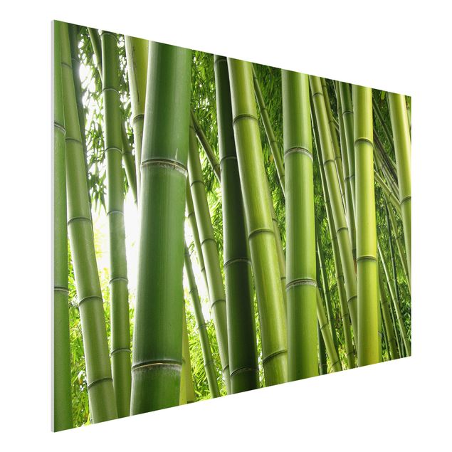 Kök dekoration Bamboo Trees No.1