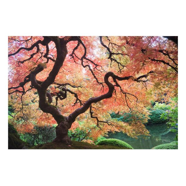 Tavlor träd Japanese Garden