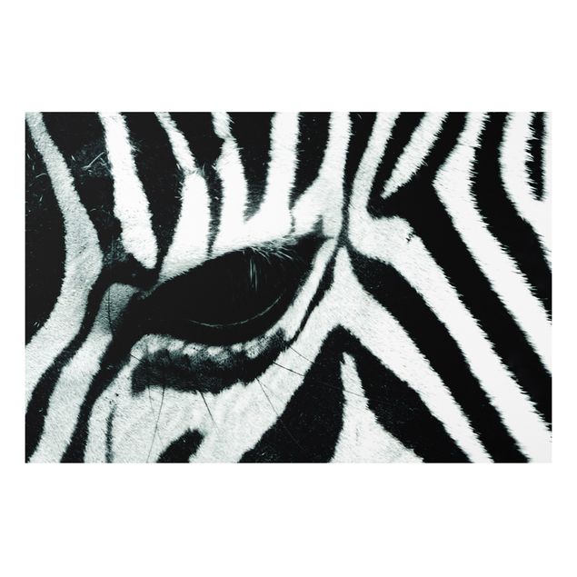 Tavlor zebror Zebra Crossing