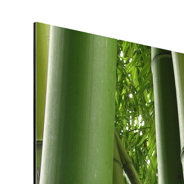 Tavlor natur Bamboo Trees No.1