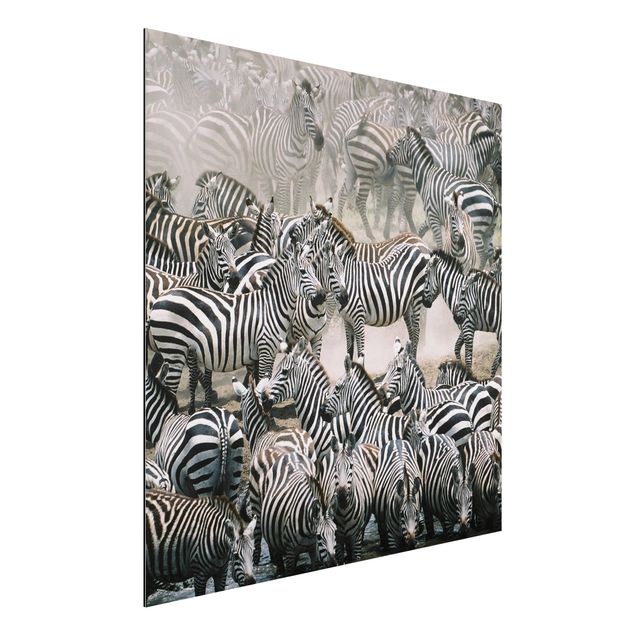 Kök dekoration Zebra Herd