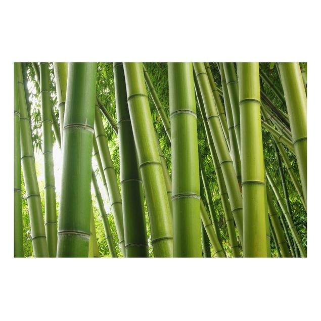 Tavlor träd Bamboo Trees No.1