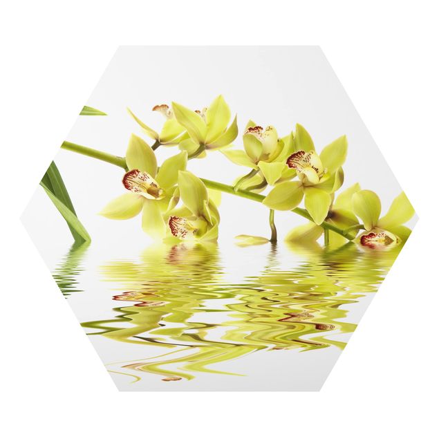Tavlor modernt Elegant Orchid Waters