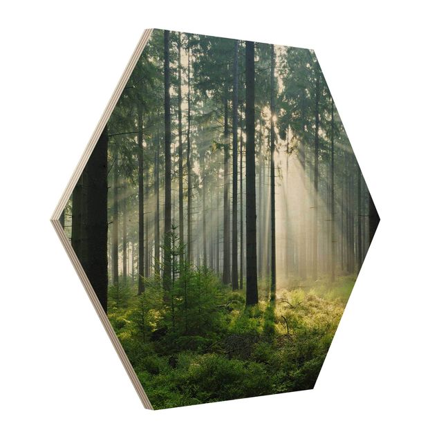 Hexagonala tavlor Enlightened Forest