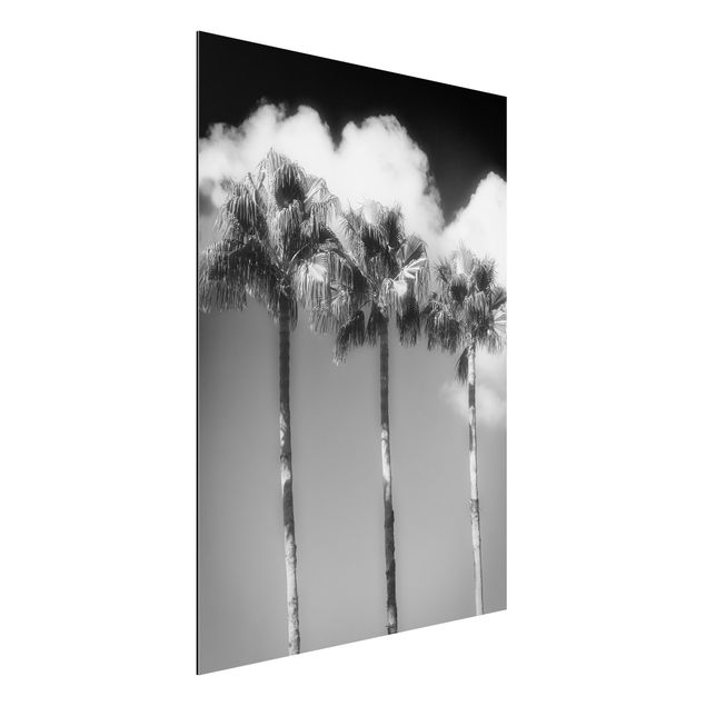 Kök dekoration Palm Trees Against The Sky Black And White