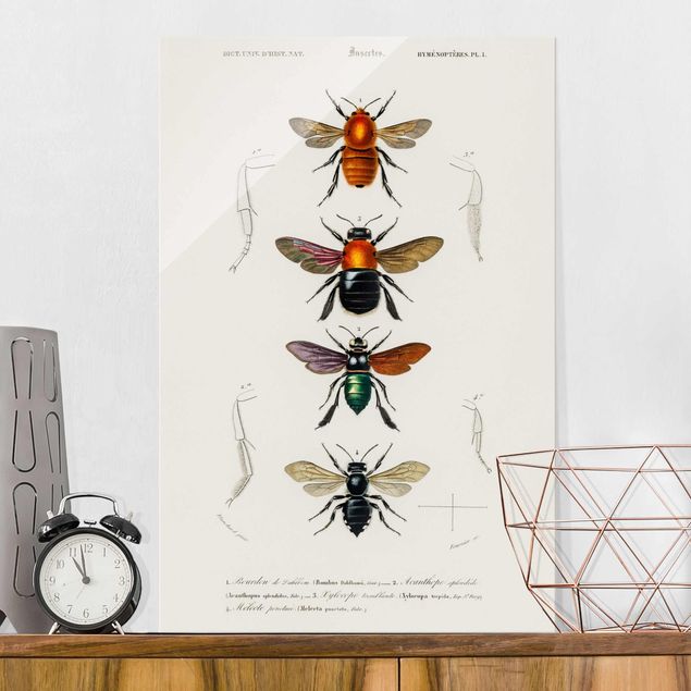 Kök dekoration Vintage Board Insects