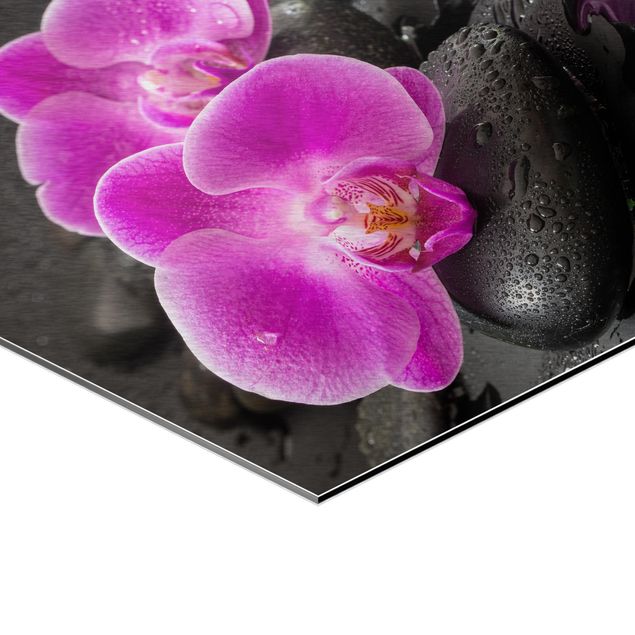 Tavlor Pink Orchid Flower On Stones With Drops
