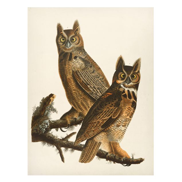 Magnettavla djur Vintage Board Two Large Owls