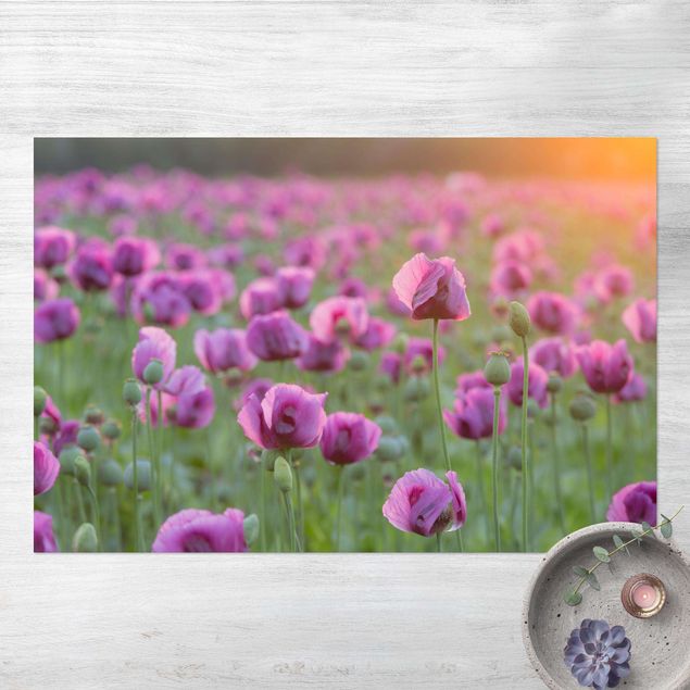utomhusmatta Purple Poppy Flower Meadow In Spring