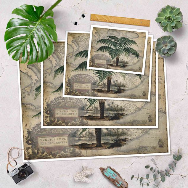 Tavlor Vintage Collage - Palm And World Map