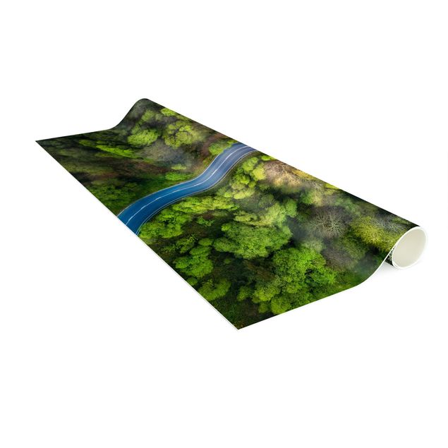 Mattor med skog Aerial Image - Paved Road In the Forest