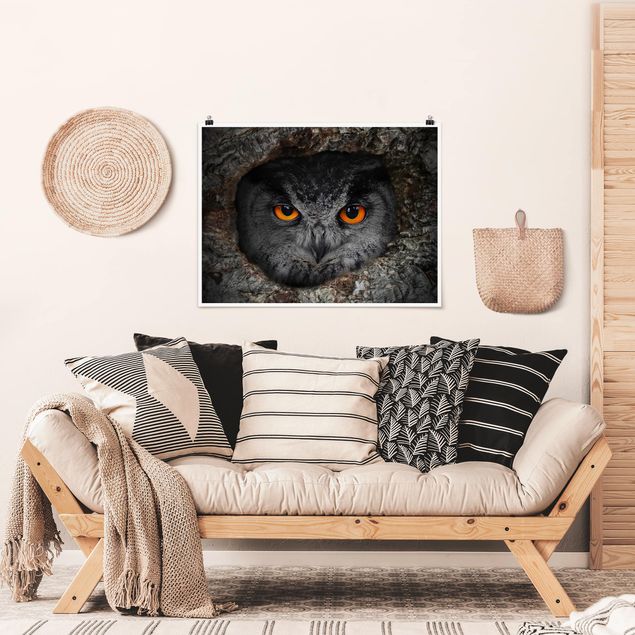 Posters djur Watching Owl