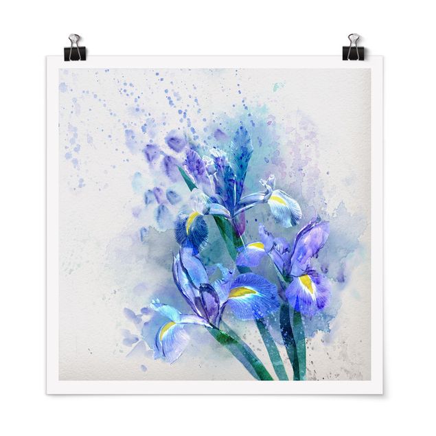 Tavlor blommor Watercolour Flowers Iris