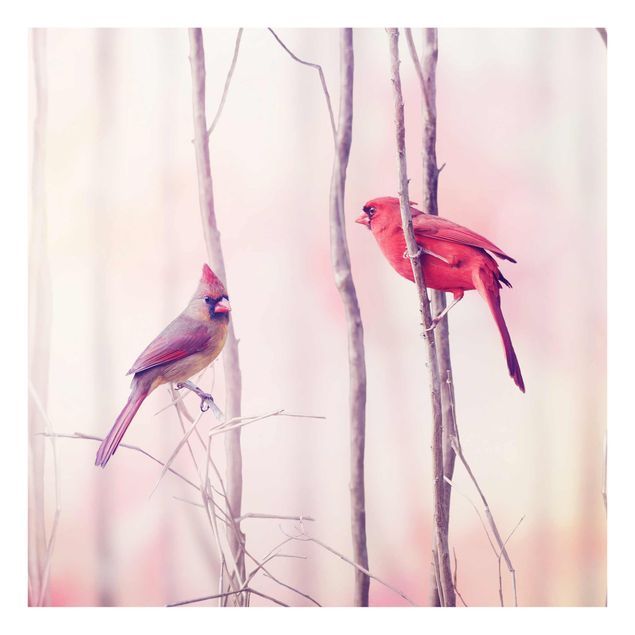 Tavlor rosa Birds on Branches
