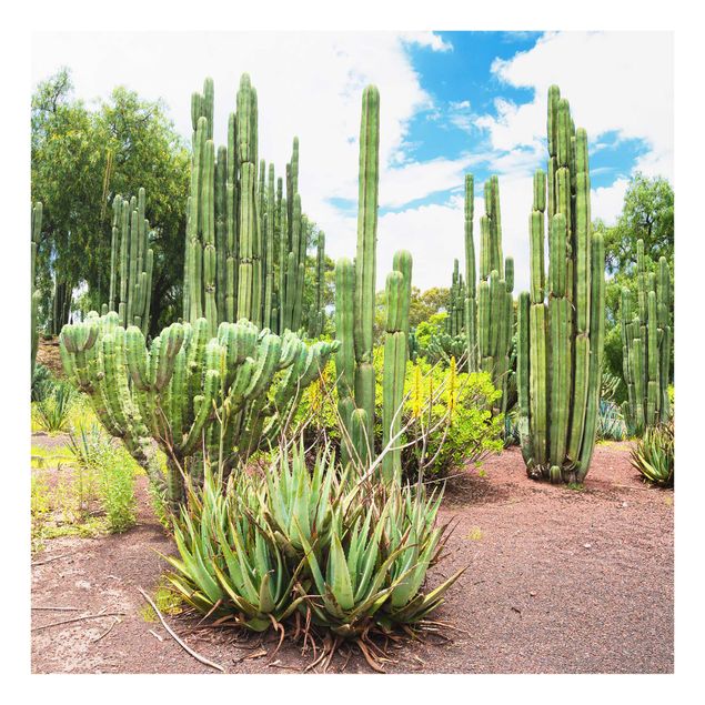 Tavlor landskap Cactus Landscape