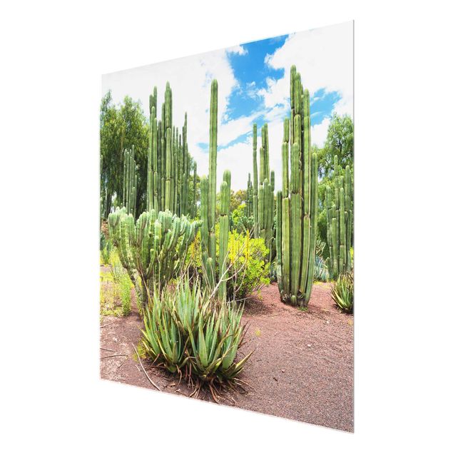 Glastavlor blommor  Cactus Landscape