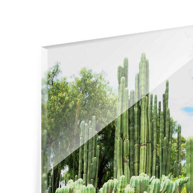 Tavlor blommor Cactus Landscape