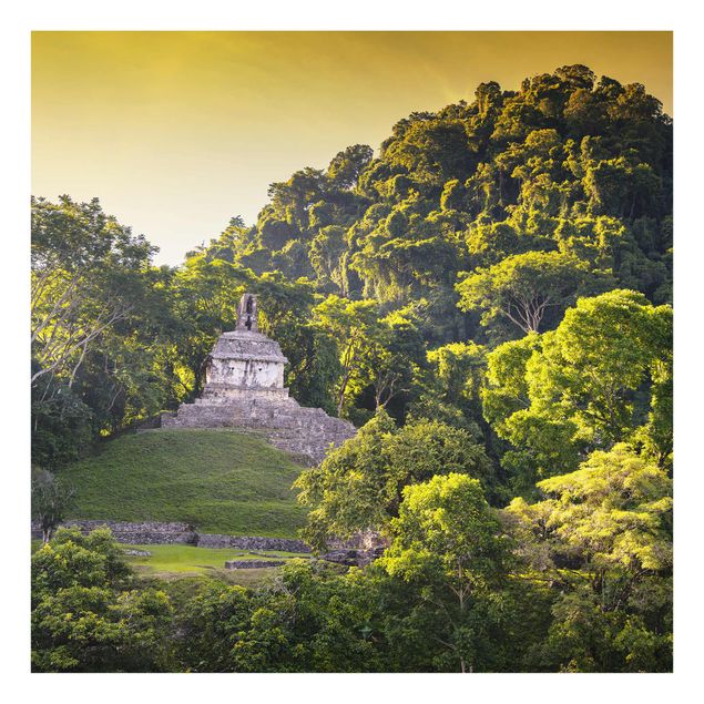 Tavlor träd Mayan Ruins