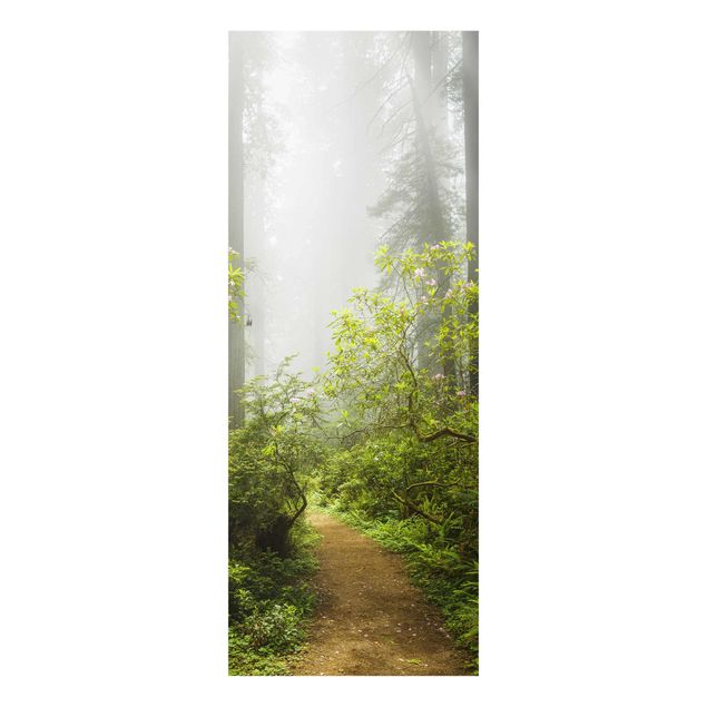 Tavlor natur Misty Forest Path