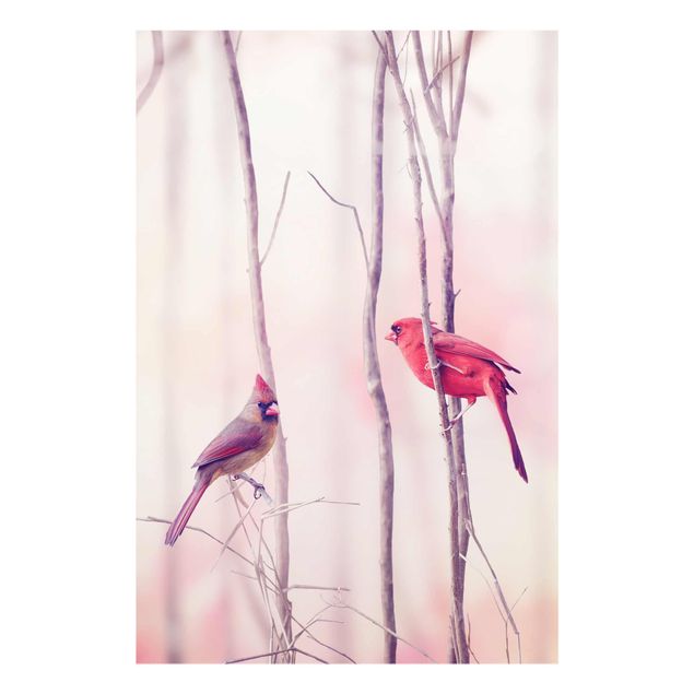 Tavlor rosa Birds on Branches