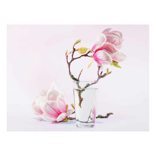Tavlor Magnolia In A Glass