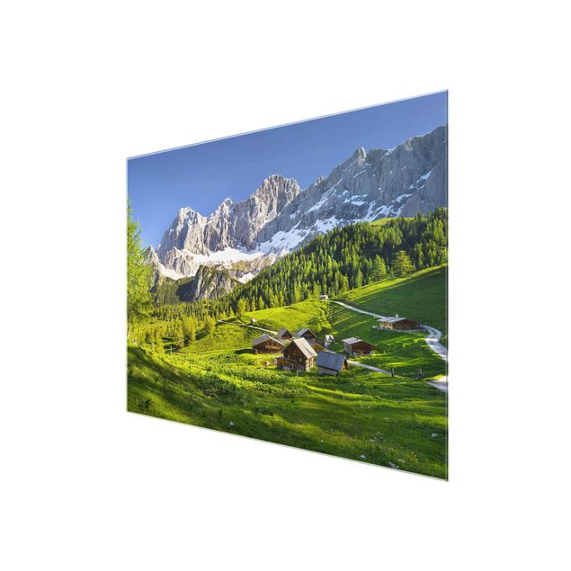 Tavlor natur Styria Alpine Meadow