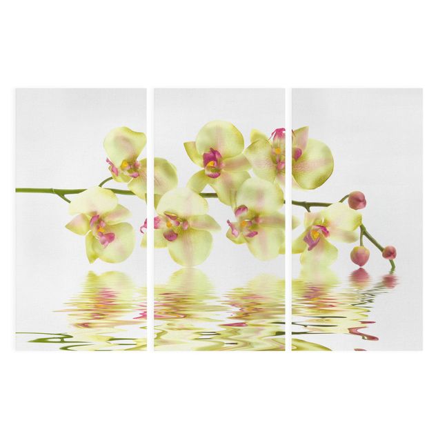 Tavlor blommor Dreamy Orchid Waters