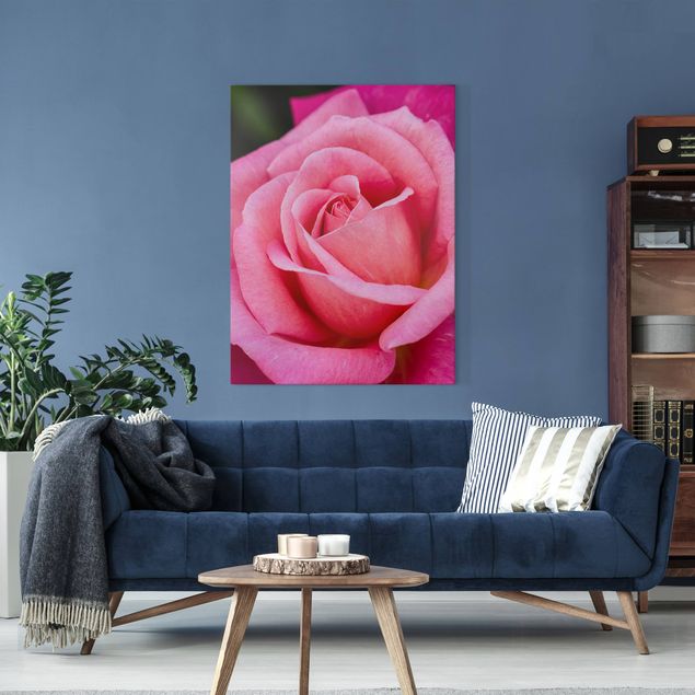 Canvastavlor rosor Pink Rose Flowers Green Backdrop