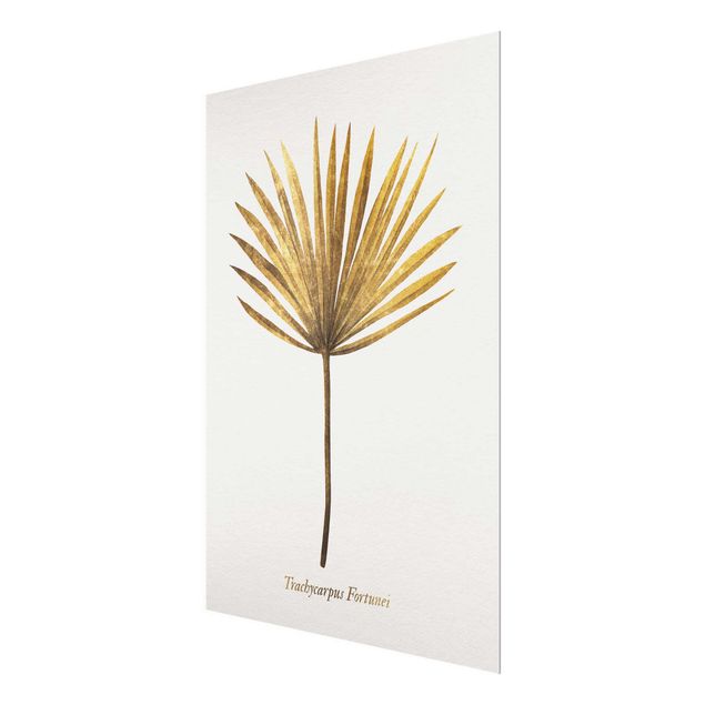 Tavlor Gold - Palm Leaf