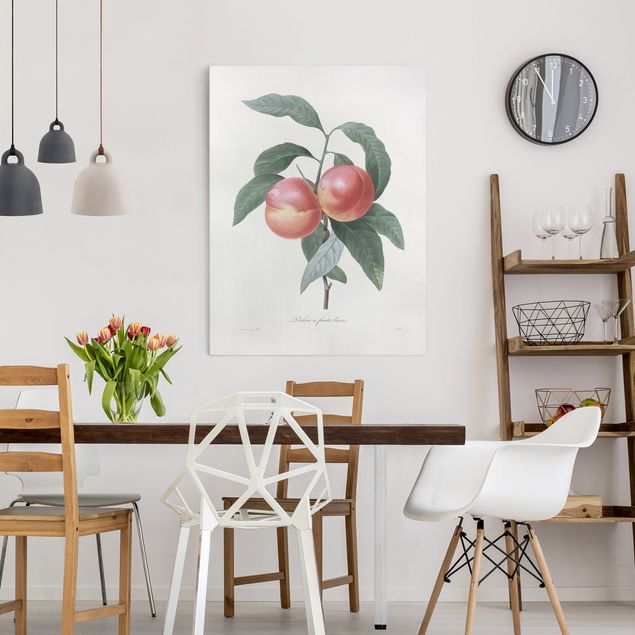 Canvastavlor grönsaker och frukt Botany Vintage Illustration Peach