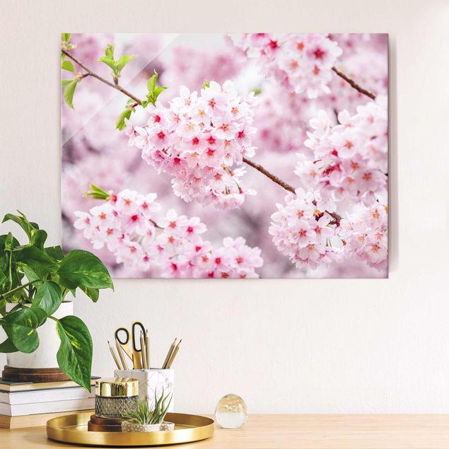 Tavlor Asien Japanese Cherry Blossoms