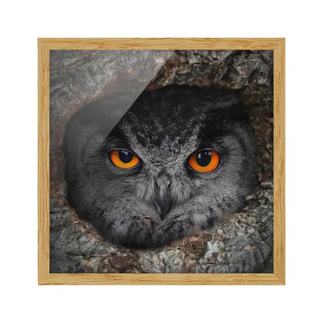Tavlor abstrakt Watching Owl