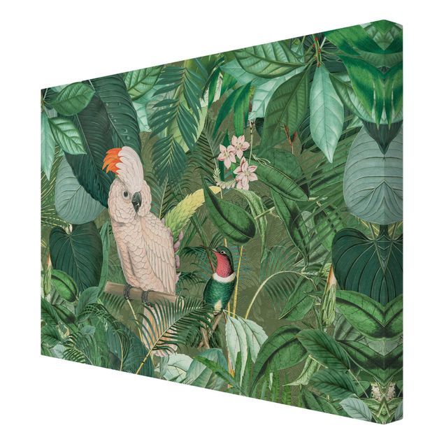 Tavlor grön Vintage Collage - Kakadu And Hummingbird