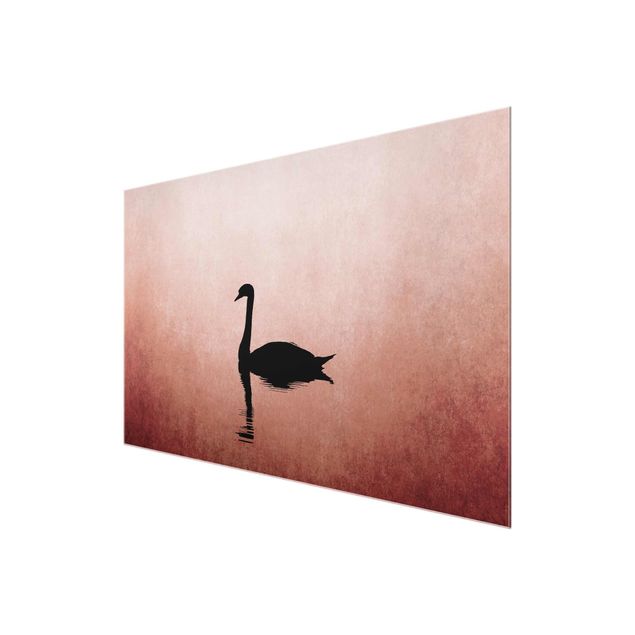 Tavlor konstutskrifter Swan In Sunset
