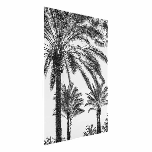 Glastavlor blommor  Palm Trees At Sunset Black And White