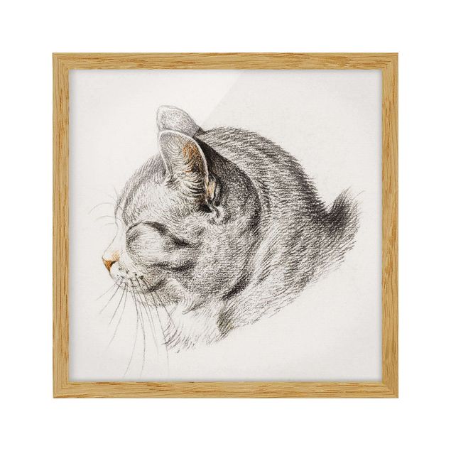 Tavlor med ram djur Vintage Drawing Cat III
